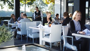 Terras